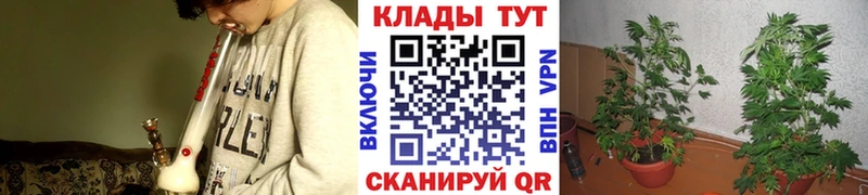 Купить закладку Нерчинск Кокаин  ЭКСТАЗИ  Меф  ГАШИШ  Марихуана  СОЛЬ 