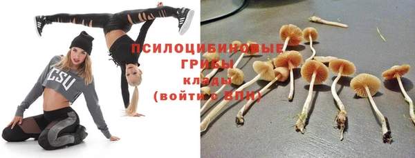 стаф Болохово