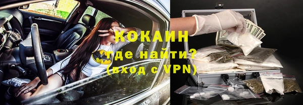 амф Горняк