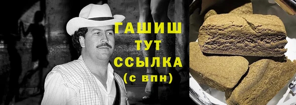 индика Болотное